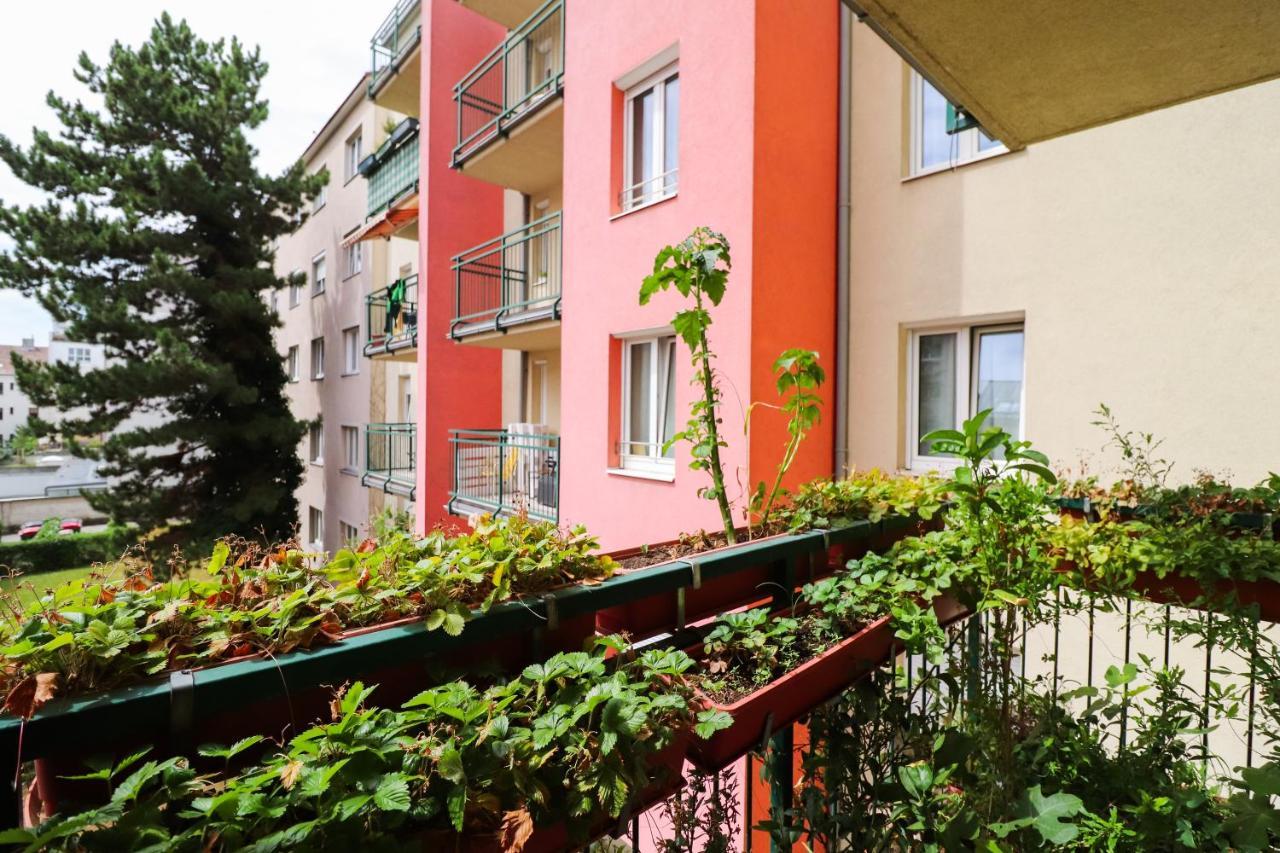 Cozynite Premium Apartment Schoenbrunn 2 Wien Exteriör bild
